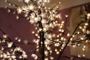 mermaid island 20mar18 ph 024